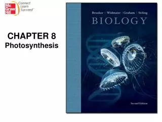 CHAPTER 8 Photosynthesis
