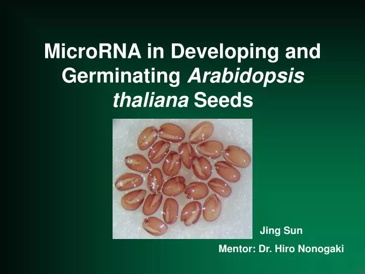 microrna in developing and germinating arabidopsis thaliana seeds