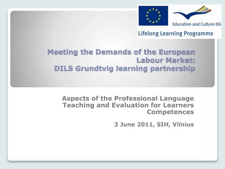 meeting the demands of the european labour market dils grundtvig learning partnership