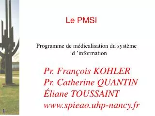 le pmsi