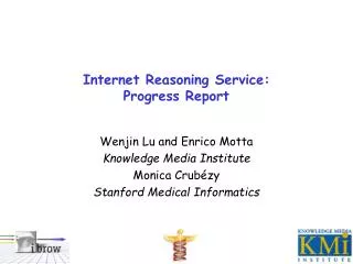 Internet Reasoning Service: Progress Report