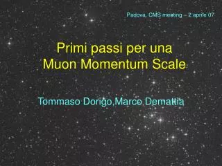primi passi per una muon momentum scale