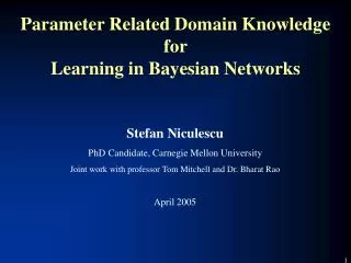 Parameter Related Domain Knowledge for Learning in Bayesian Networks