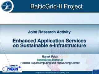 Joint Research Activity Enhanced Application Services on Sustainable e-Infrastructure
