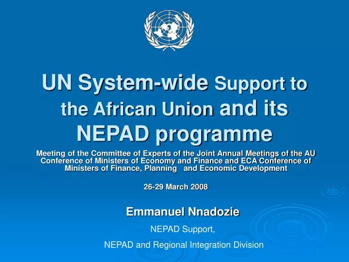 un system wide support to the african union and its nepad programme