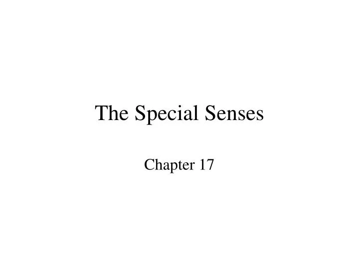 the special senses