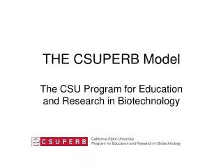 THE CSUPERB Model