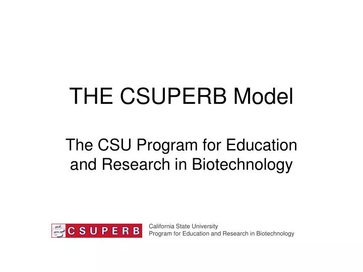 the csuperb model