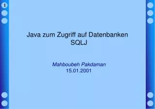 java zum zugriff auf datenbanken sqlj mahboubeh pakdaman 15 01 2001