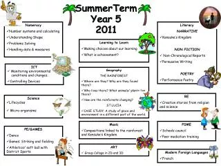 SummerTerm Year 5 2011