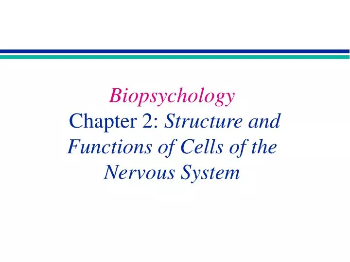 biopsychology chapter 2 structure and functions of cells of the nervous system