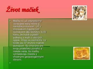 ivot ma iek