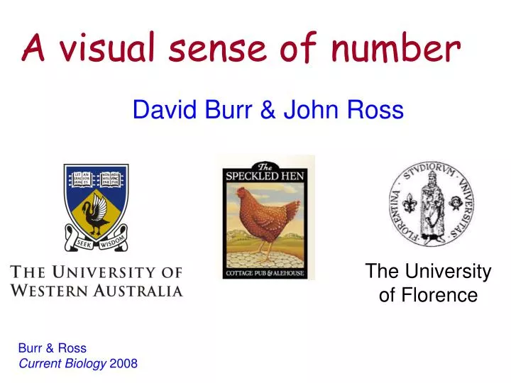 a visual sense of number