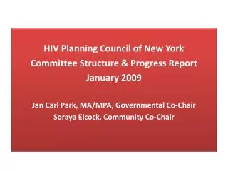 HIV Planning Council of New York Committee Structure &amp; Progress Report January 2009