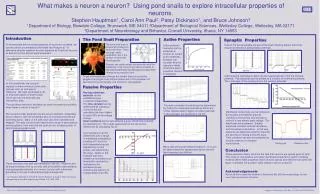 What makes a neuron a neuron? Using pond snails to explore intracellular properties of neurons.