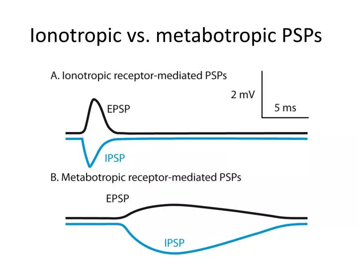 ionotropic vs metabotropic psps