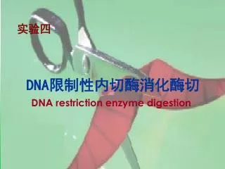 dna dna restriction enzyme digestion