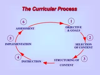 The Curricular Process