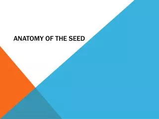Anatomy of the Seed