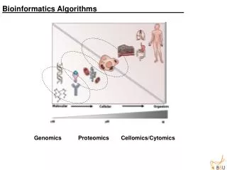 Bioinformatics Algorithms