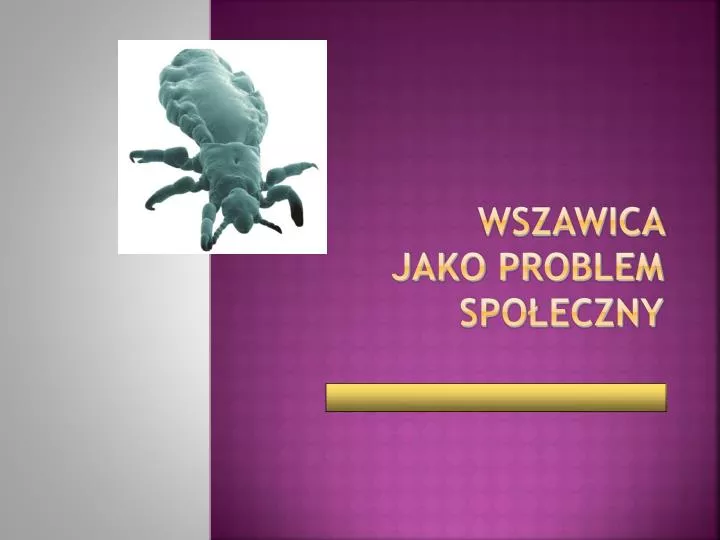 wszawica jako problem spo eczny opracowa a mgr honorata wilk