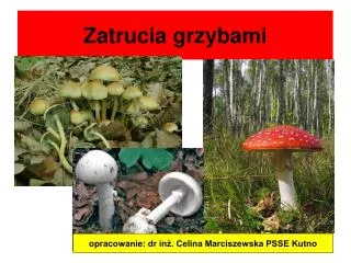 zatrucia grzybami