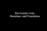 The Genetic Code, Mutations, and Translation - slide 1