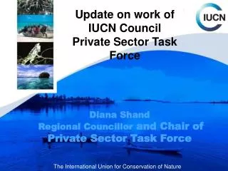 Update on work of IUCN Council Private Sector Task Force