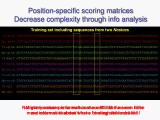 Position-specific scoring matrices Decrease complexity through info analysis