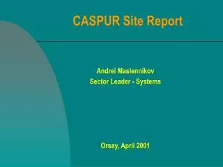 CASPUR Site Report