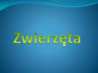 zwierz ta