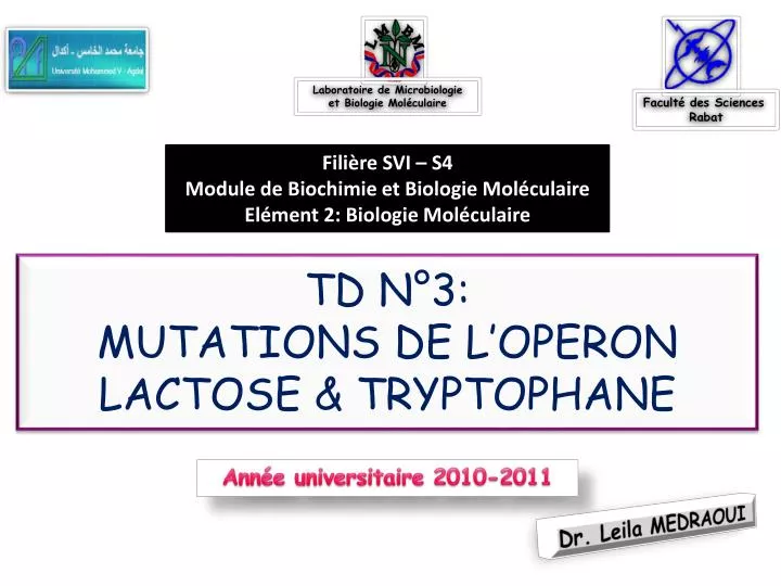 td n 3 mutations de l operon lactose tryptophane