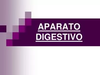 aparato digestivo