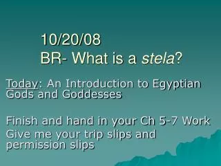 10/20/08 BR- What is a stela ?