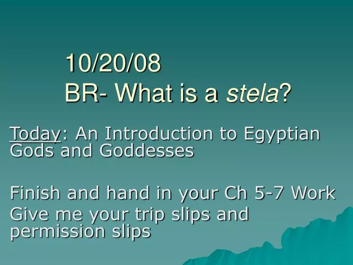 10 20 08 br what is a stela