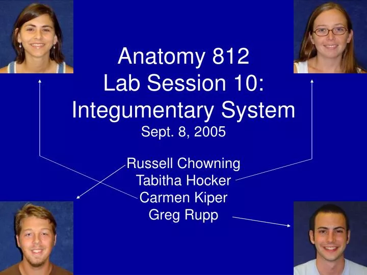 anatomy 812 lab session 10 integumentary system sept 8 2005