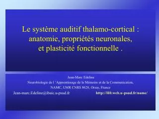 le syst me auditif thalamo cortical anatomie propri t s neuronales et plasticit fonctionnelle