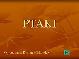 ptaki
