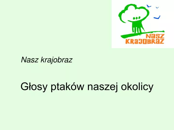 g osy ptak w naszej okolicy