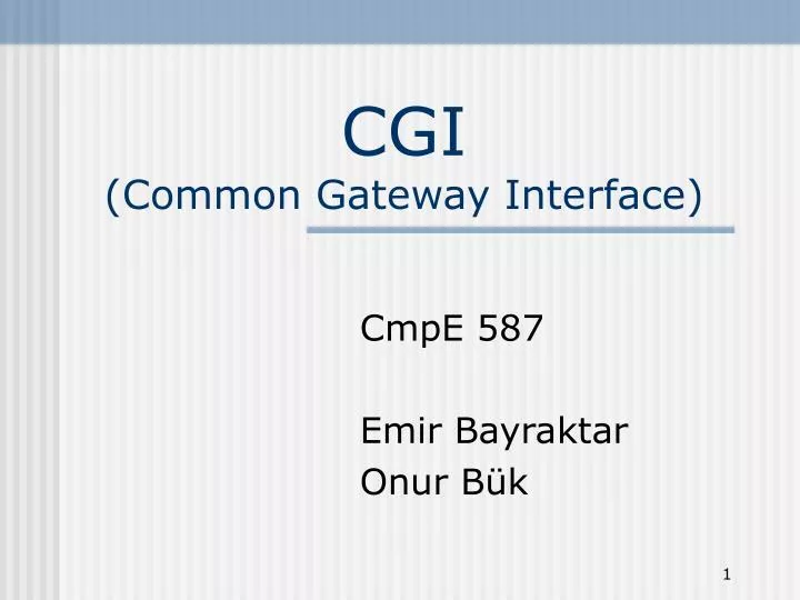 cgi common gateway interface