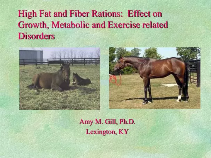 high fat and fiber rations effect on growth metabolic and exercise related disorders