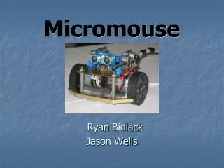 Micromouse