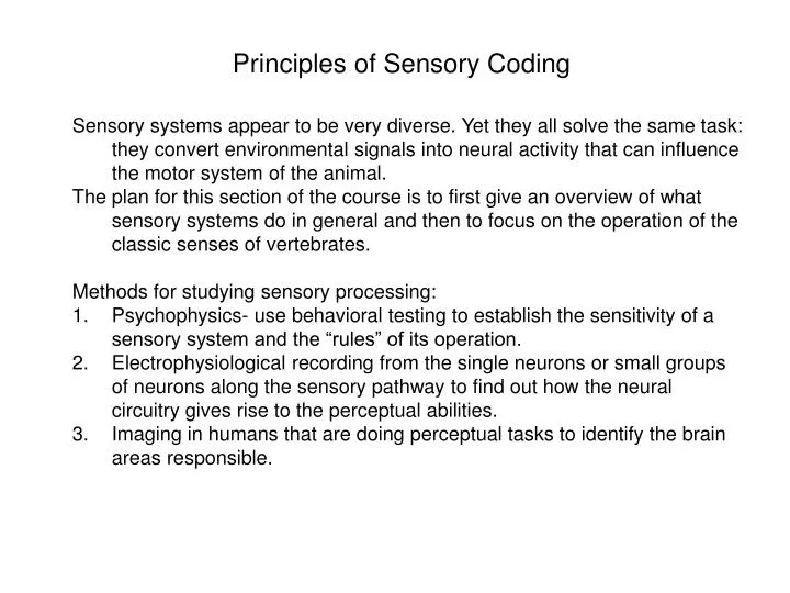principles of sensory coding