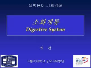 digestive system
