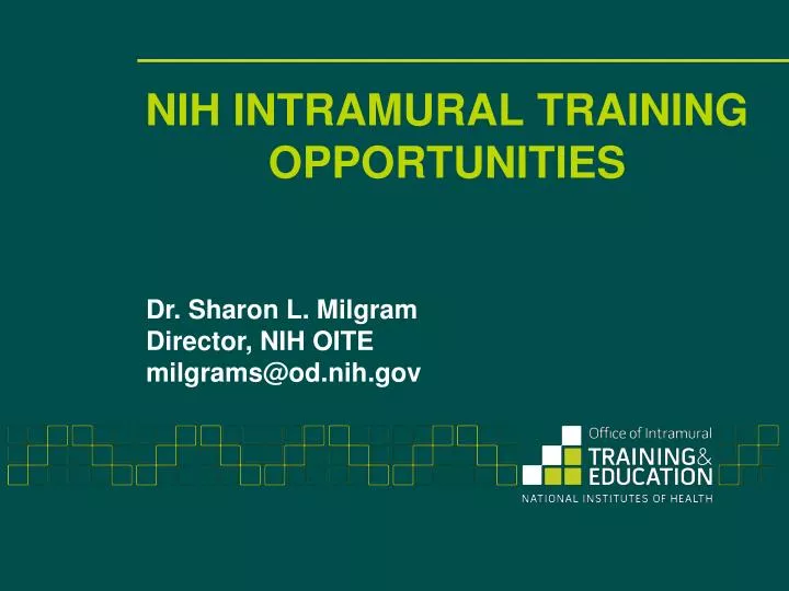 nih intramural training opportunities