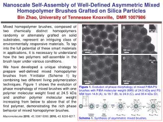 Figure 1. Evolution of phase morphology of mixed P t BA/PS