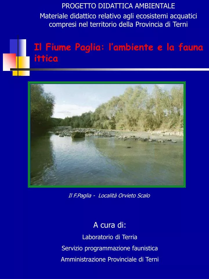 il fiume paglia l ambiente e la fauna ittica