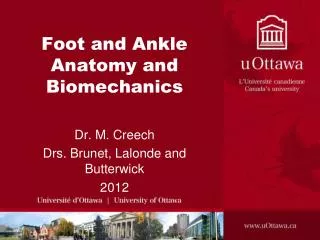 Foot and Ankle Anatomy and Biomechanics