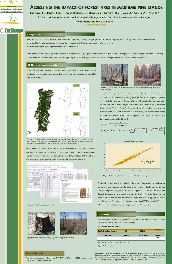 assessing the impact of forest fires in maritime pine stands