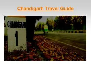 Places to visit in chandigarh